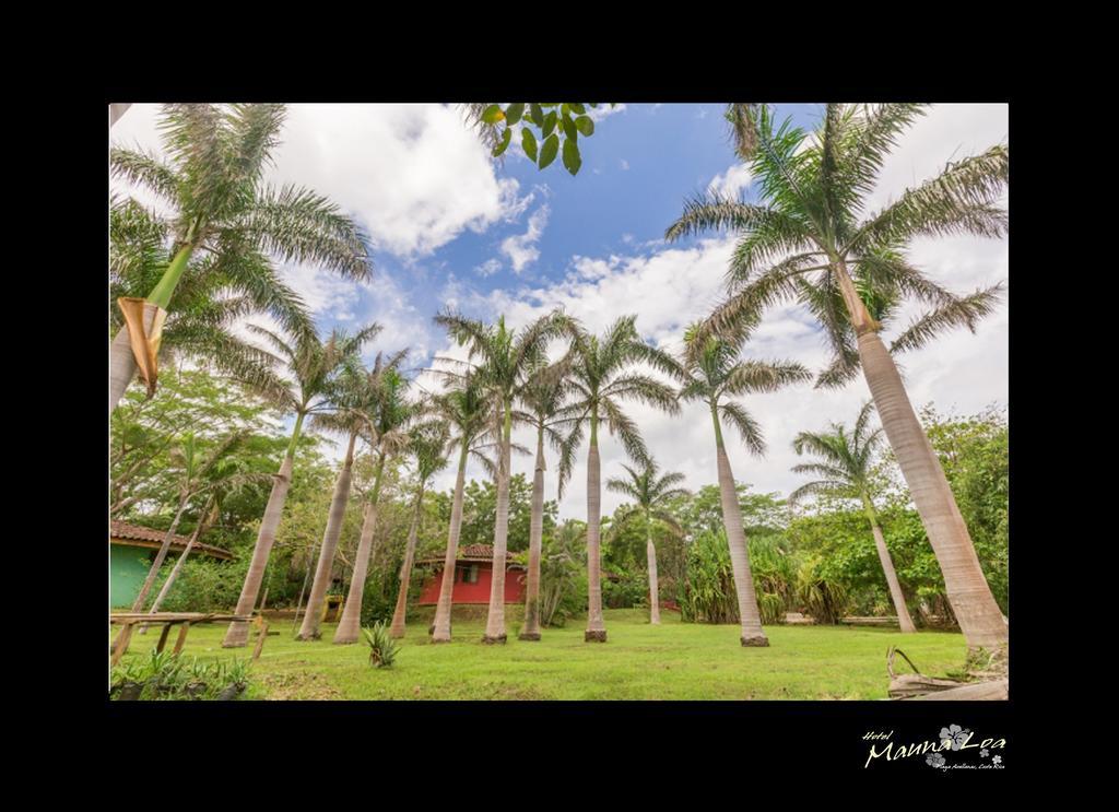 Hotel Mauna Loa Pinilla Kültér fotó
